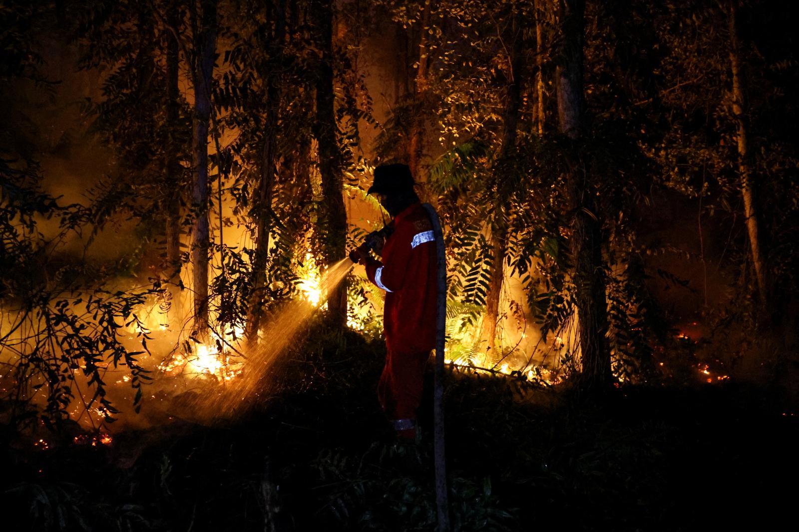 Kabut asap karhutla perburuk kualitas udara sejumlah kota, dari Pekanbaru hingga Pontianak
