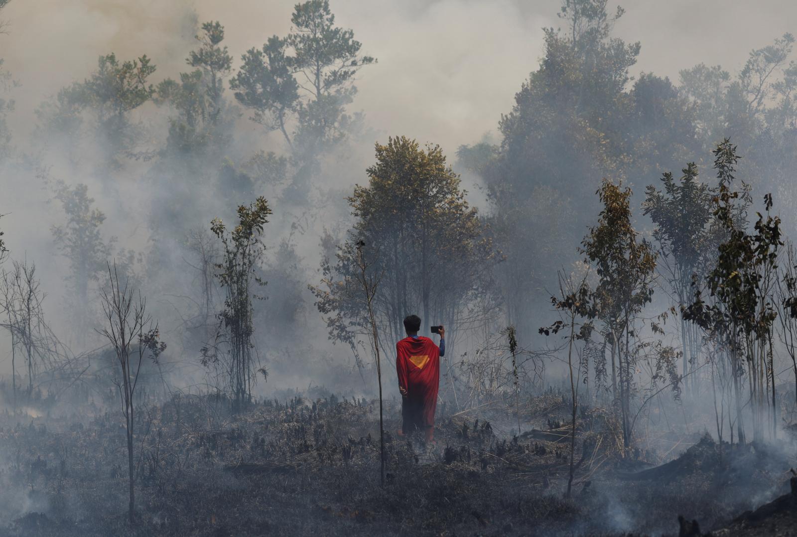 Hujan buatan: Indonesia memburu awan untuk redam kebakaran akibat El Nino