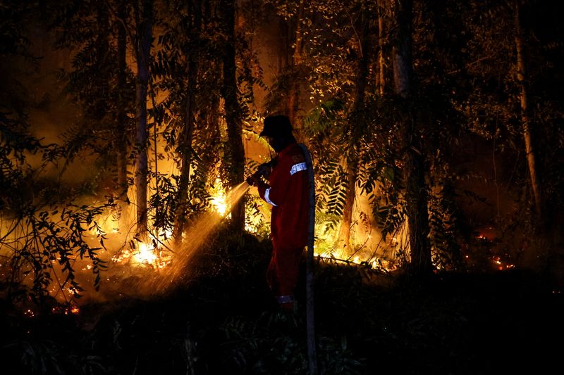 Singapore-listed firm Kencana Agri facing inquiry by Indonesian authorities over suspected land clearing by burning