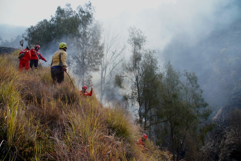 Gunung Bromo kembali dibuka usai karhutla, kuota 2.752 wisatawan per hari