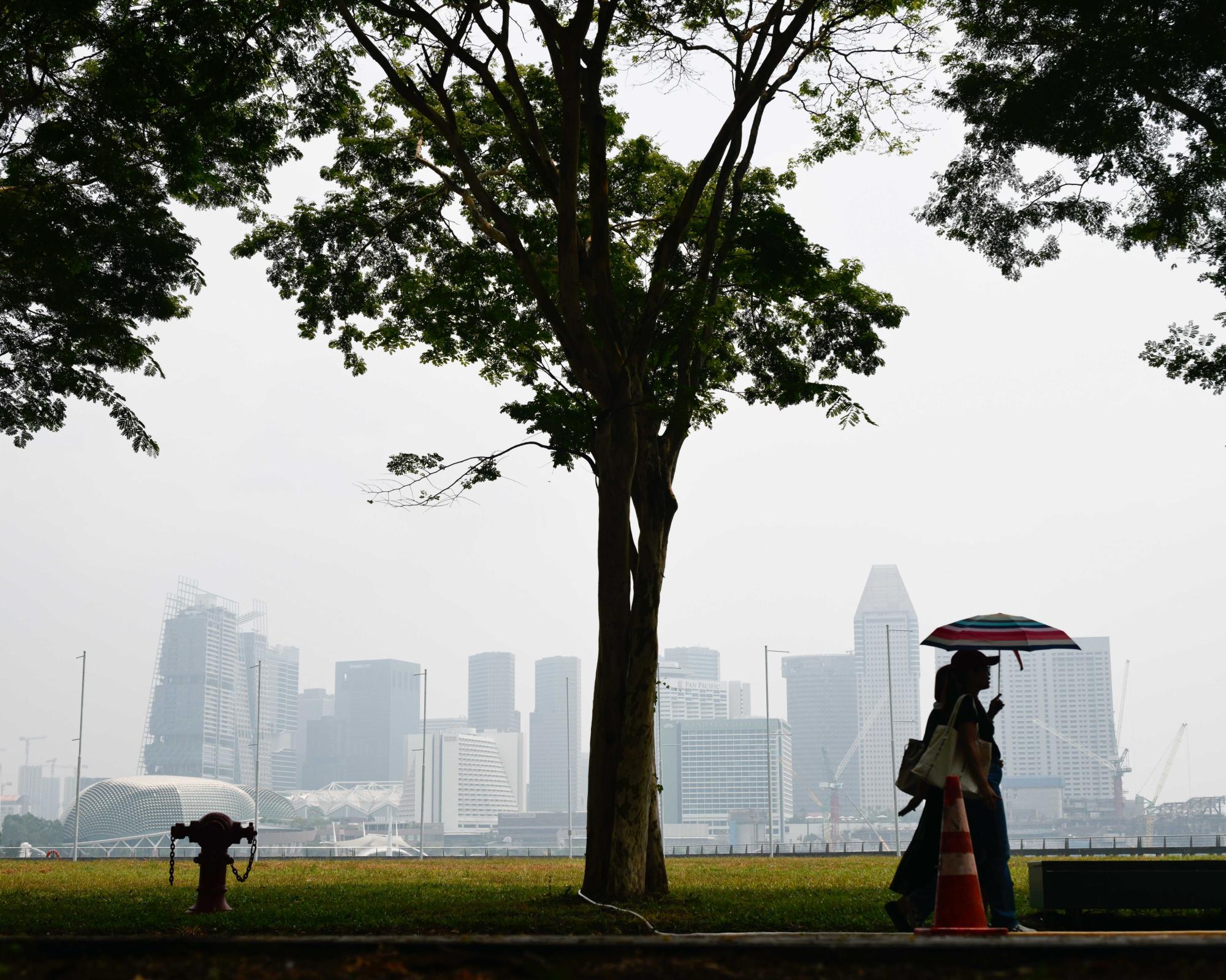 Haze in Singapore: Air quality at unhealthy range in central region
