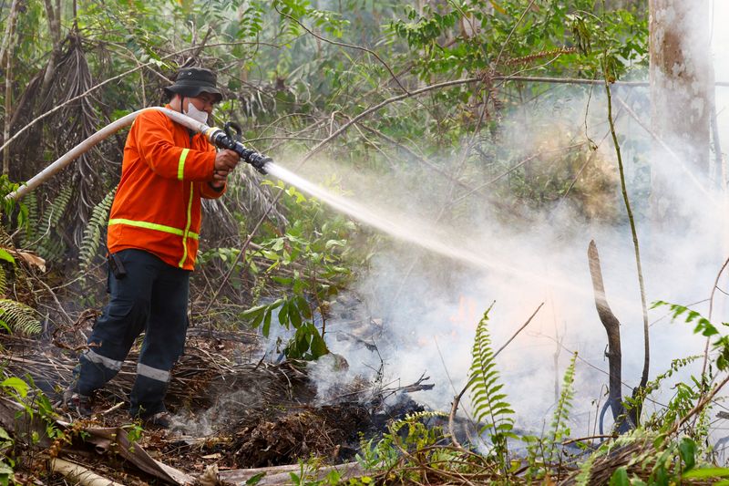 Wildfires spread near Indonesia's new capital, prompting calls for action