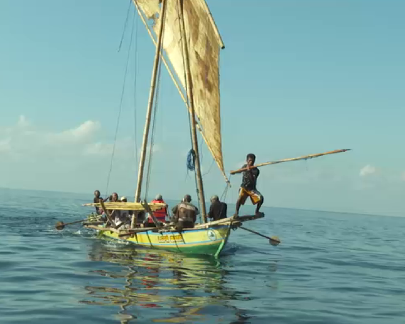 Indonesia’s centuries-old whaling tradition faces an uncertain future
