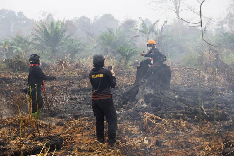 Indonesia's wildfires may last until early November, minister says