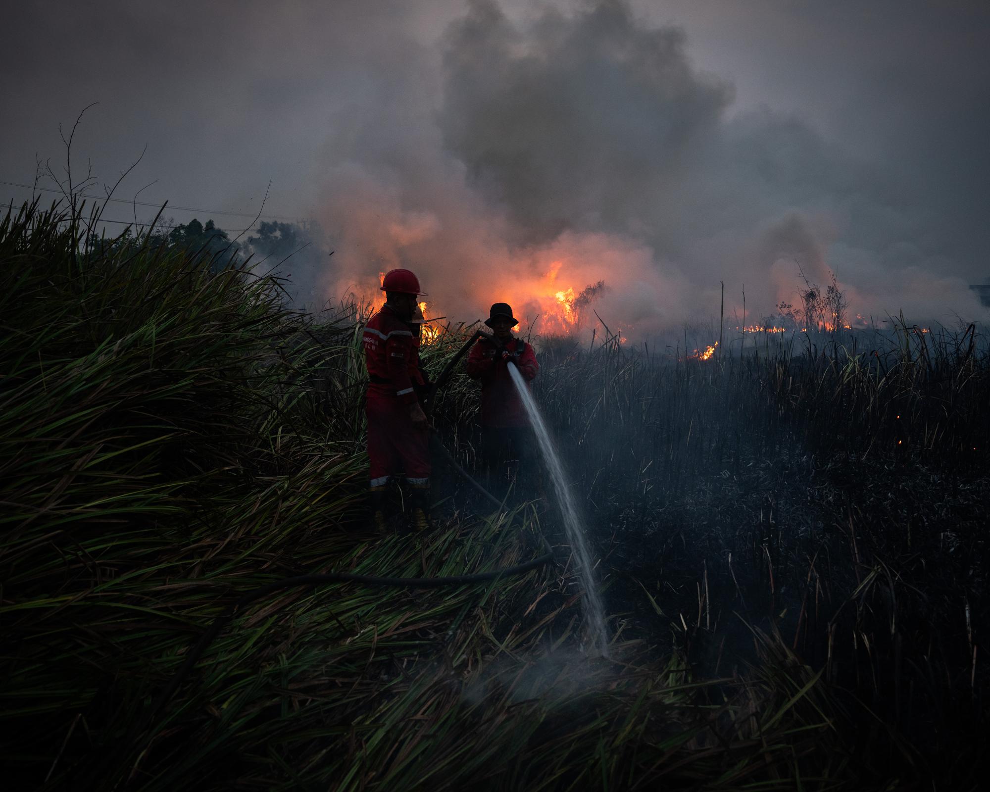 Prabowo steps up Indonesia's firefighting efforts; foreign offers of help not discussed