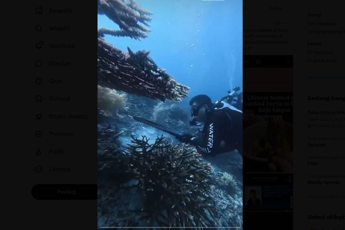 Buru dan santap penyu sisik di Raja Ampat, WN China terancam 15 tahun penjara