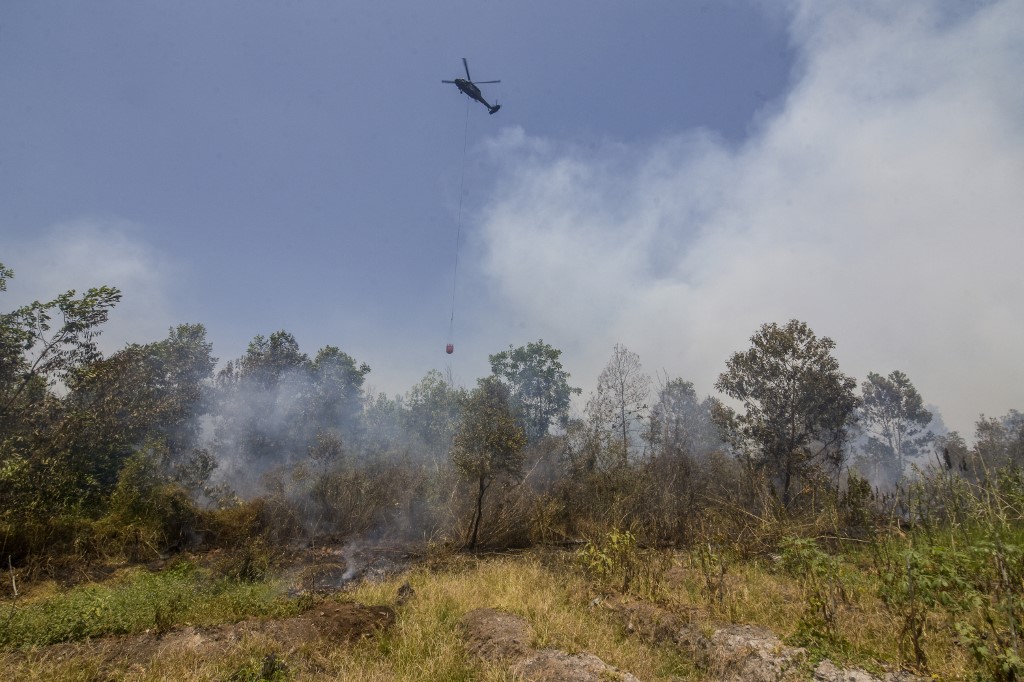 Indonesia doing 'everything' but still struggling to curb fires