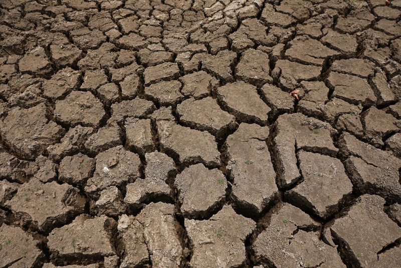 El Nino could cause 451,000 extra heat deaths: Research
