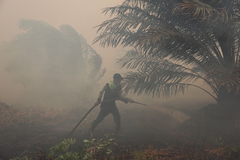 TSH Resources says 274 hotspots detected within estate boundaries were outside operational areas