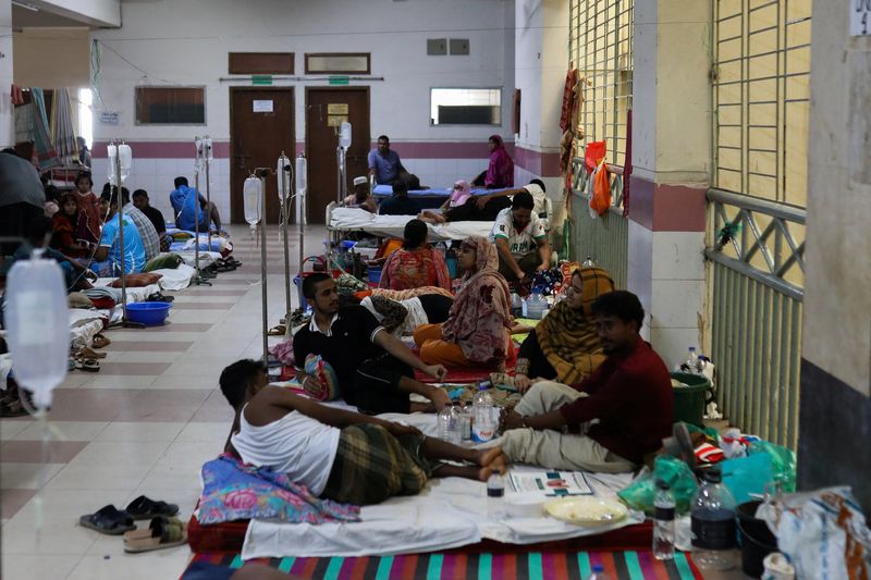 Bangladesh warns dengue outbreak could worsen after deadly September