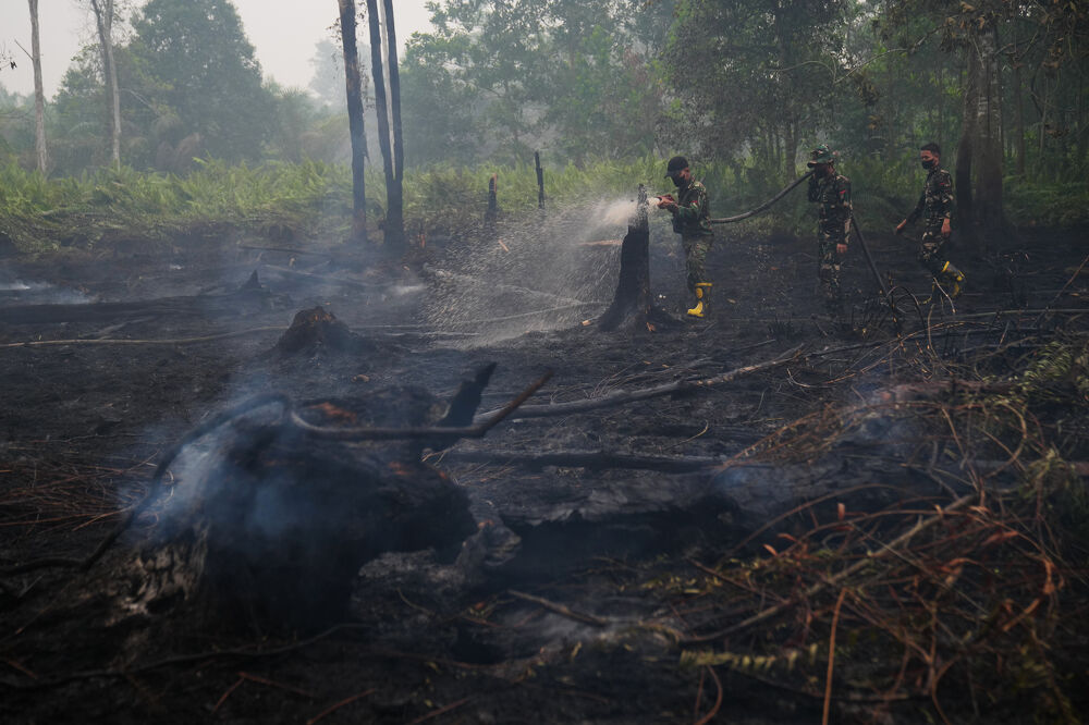‘Not as easy as one might imagine’: Poor visibility, wild animals hamper firefighting in Indonesia
