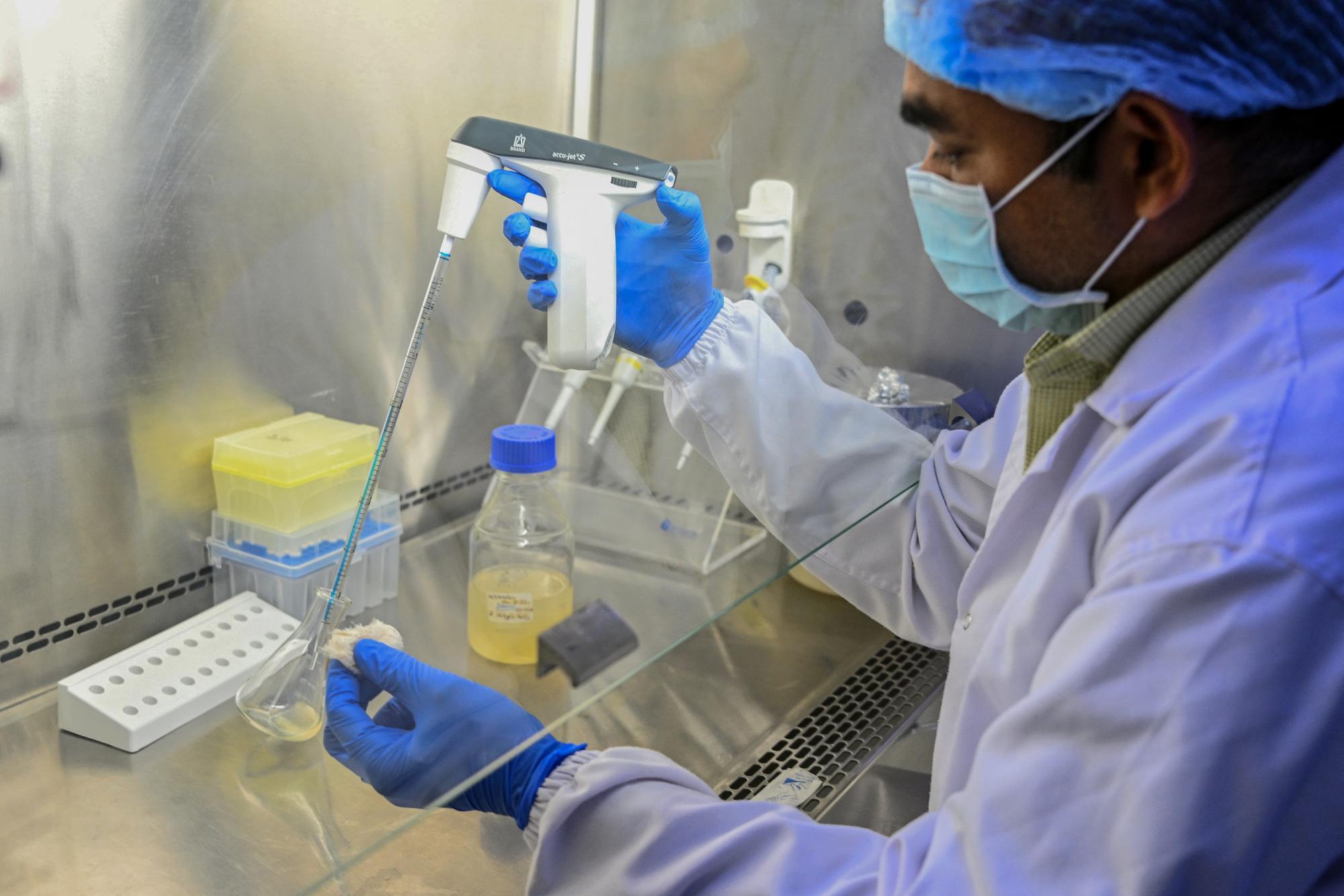 ‘AI lowers the capital needed’: India’s drug discovery push faces test of human trials