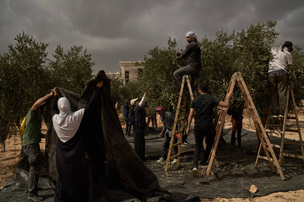 Israeli settlers attack European diplomats, beat French mayor
