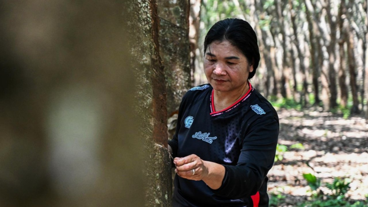 Thailand’s water dilemma: Reservoir plan threatens elephants and villages